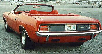 Rear tail lights  and quarter panel